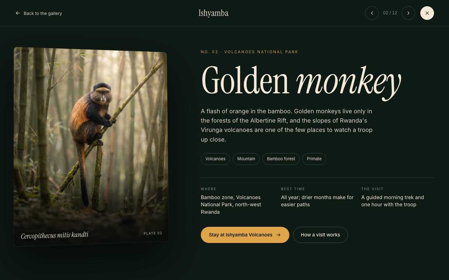 Ishyamba species story opened from the gallery