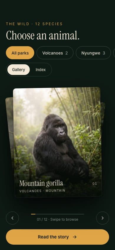 Ishyamba swipeable card stack on a phone